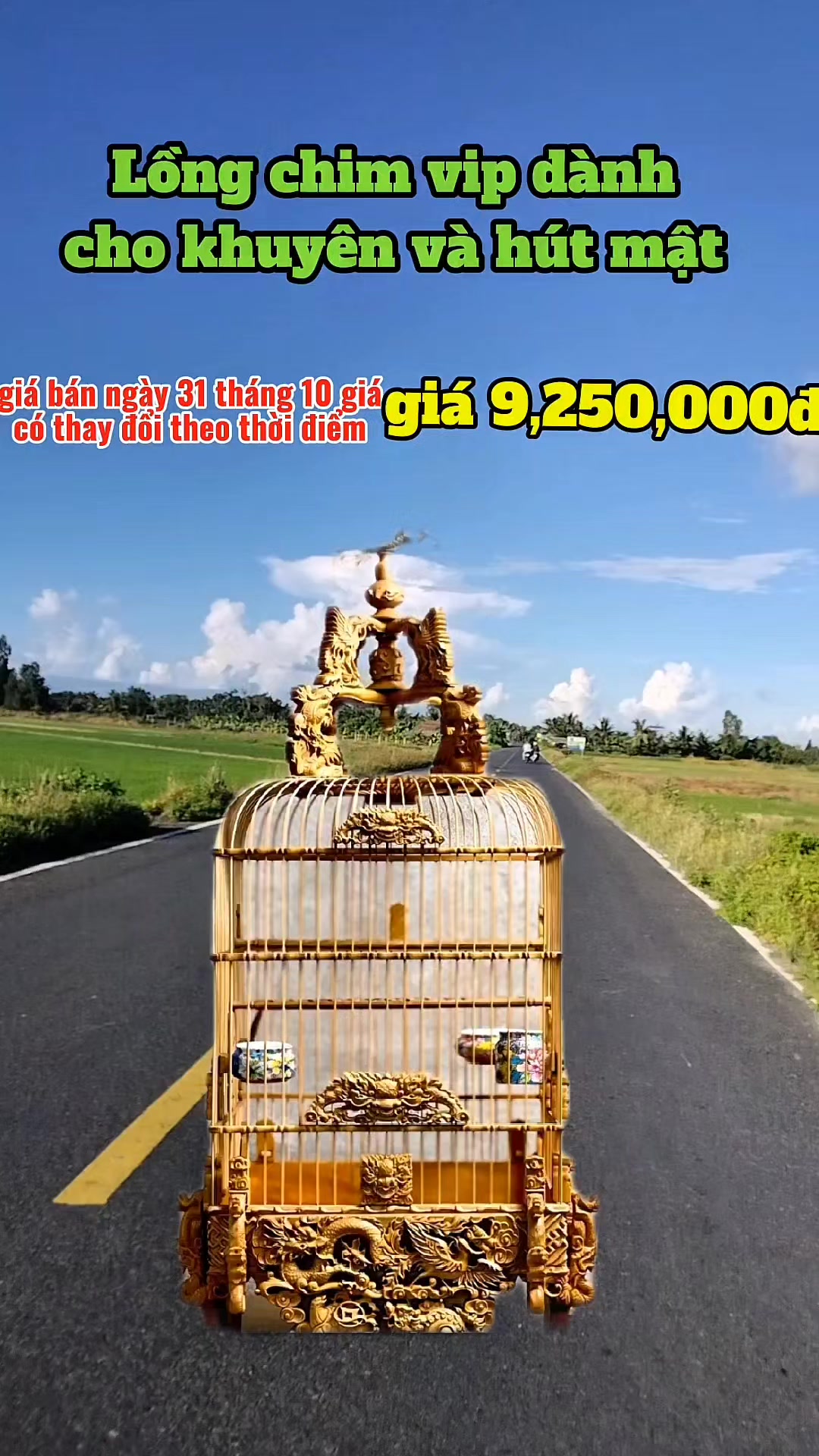 @@1Huyền Nguyễn