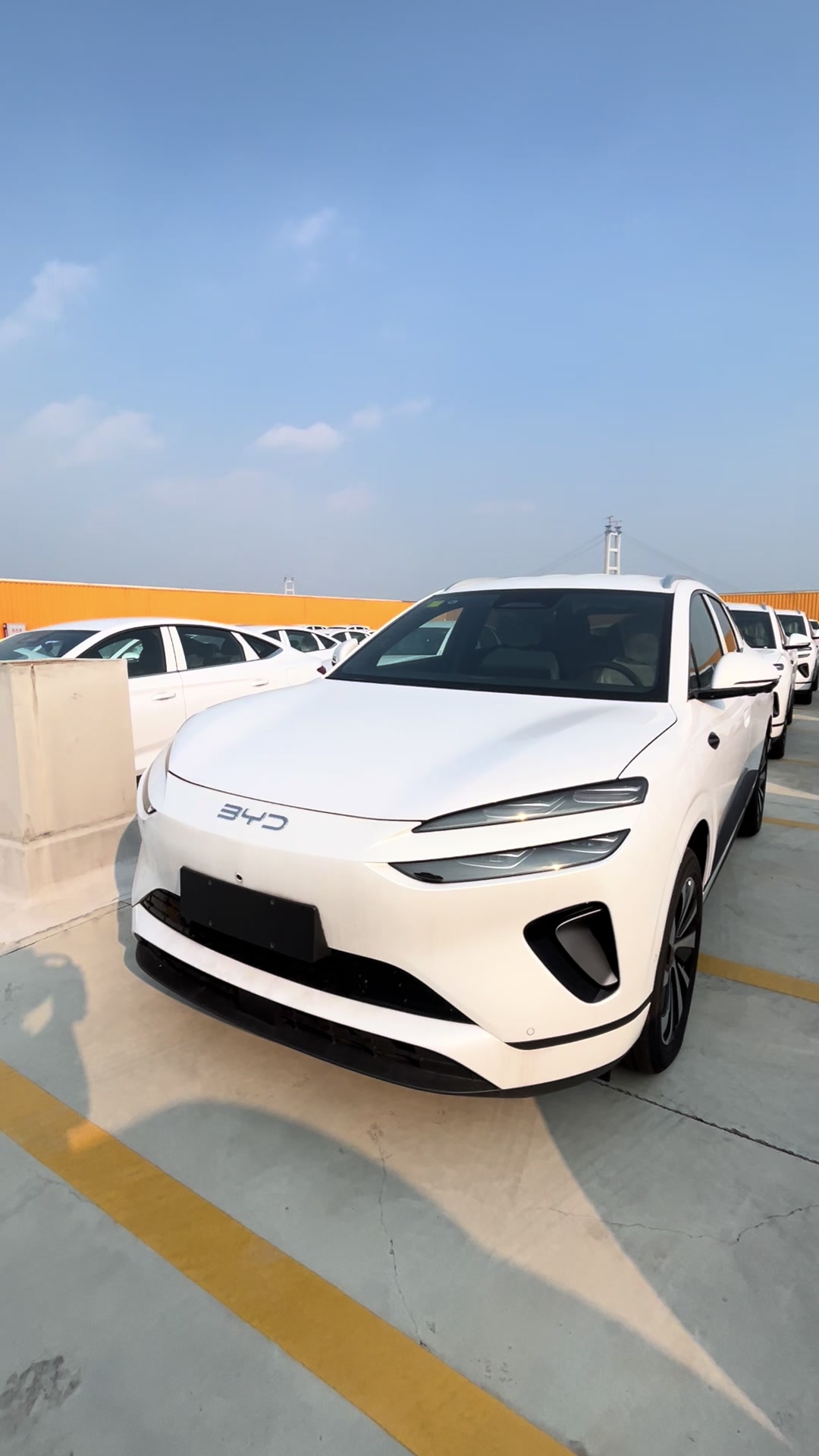 @China EV Export Cars Supplier