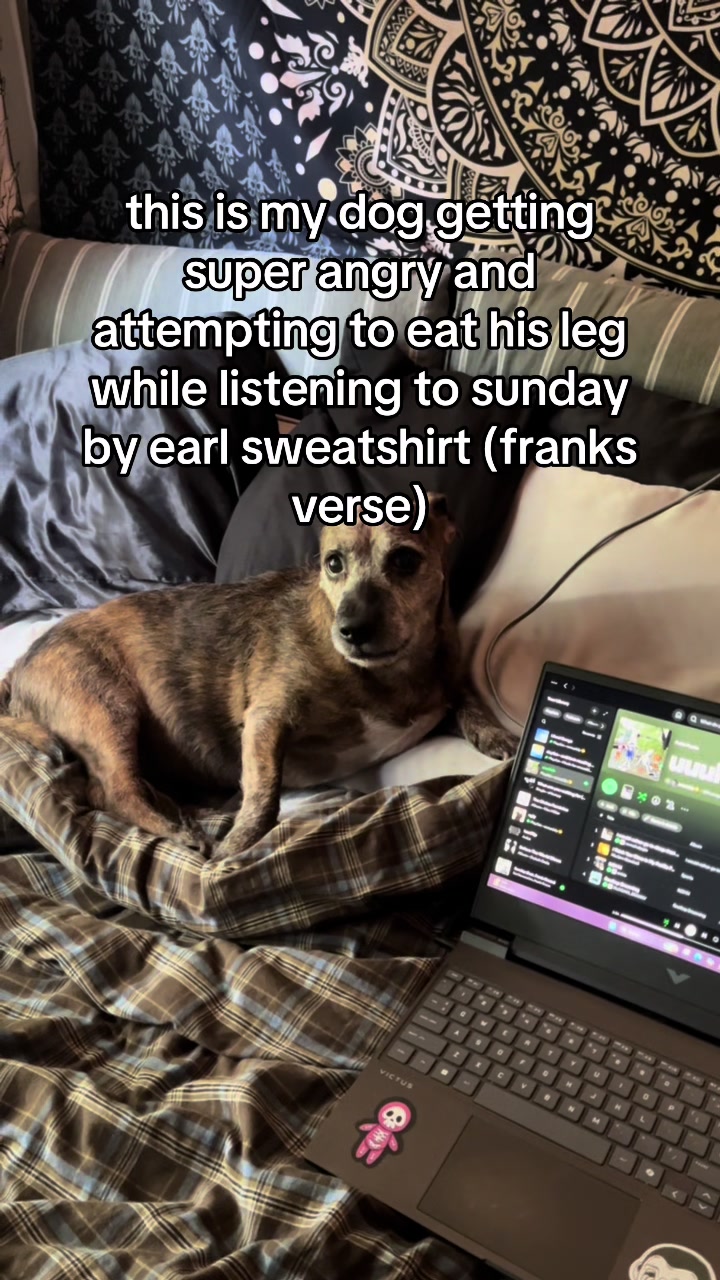 @trashboatski