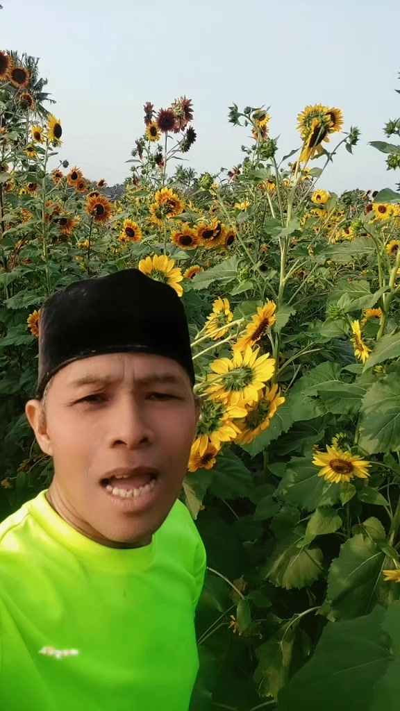 @Badut salamun