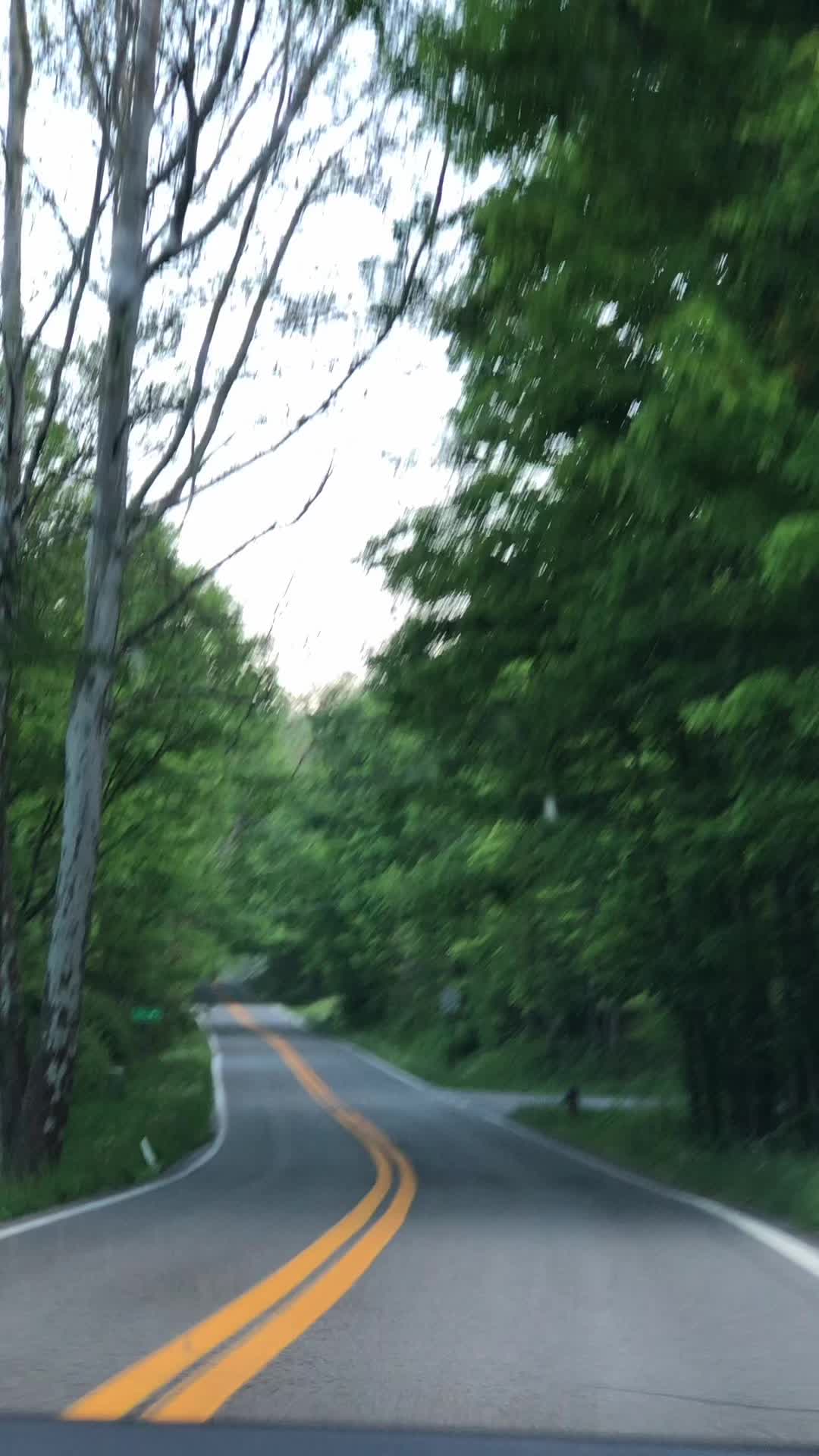 @robinfrazier40