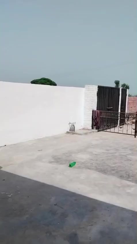 @Ranasohial