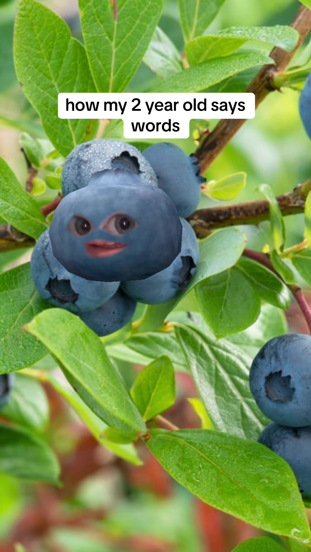 @jan🍭jan