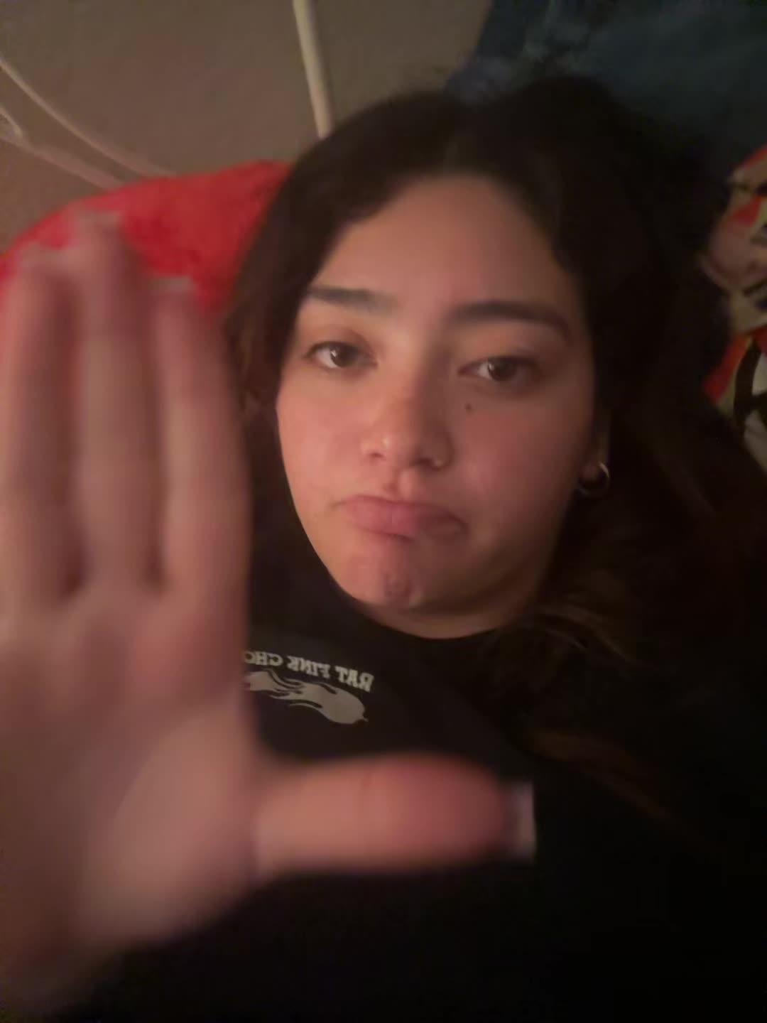 @🐝anca