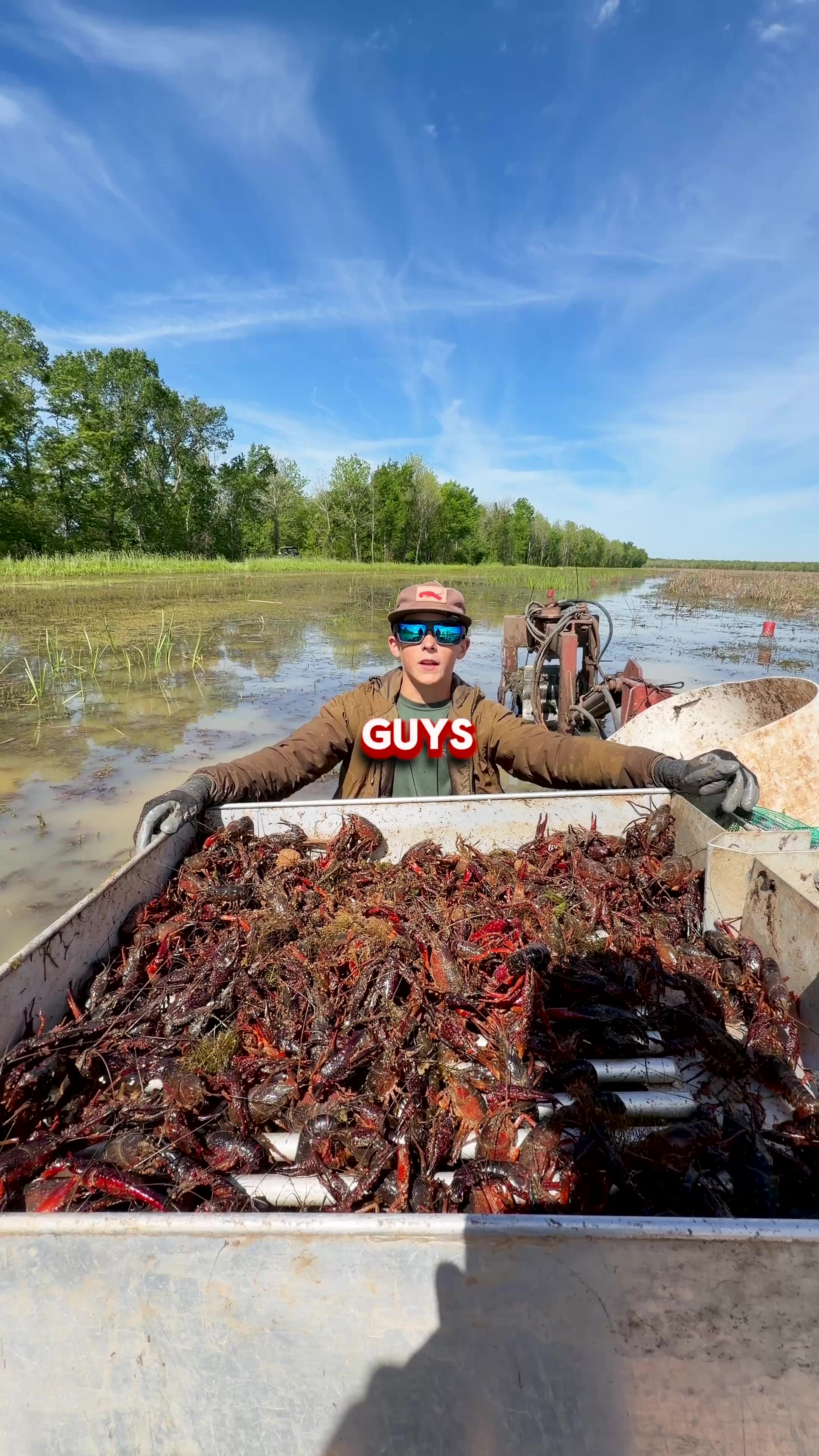 @louisianacrawfishco