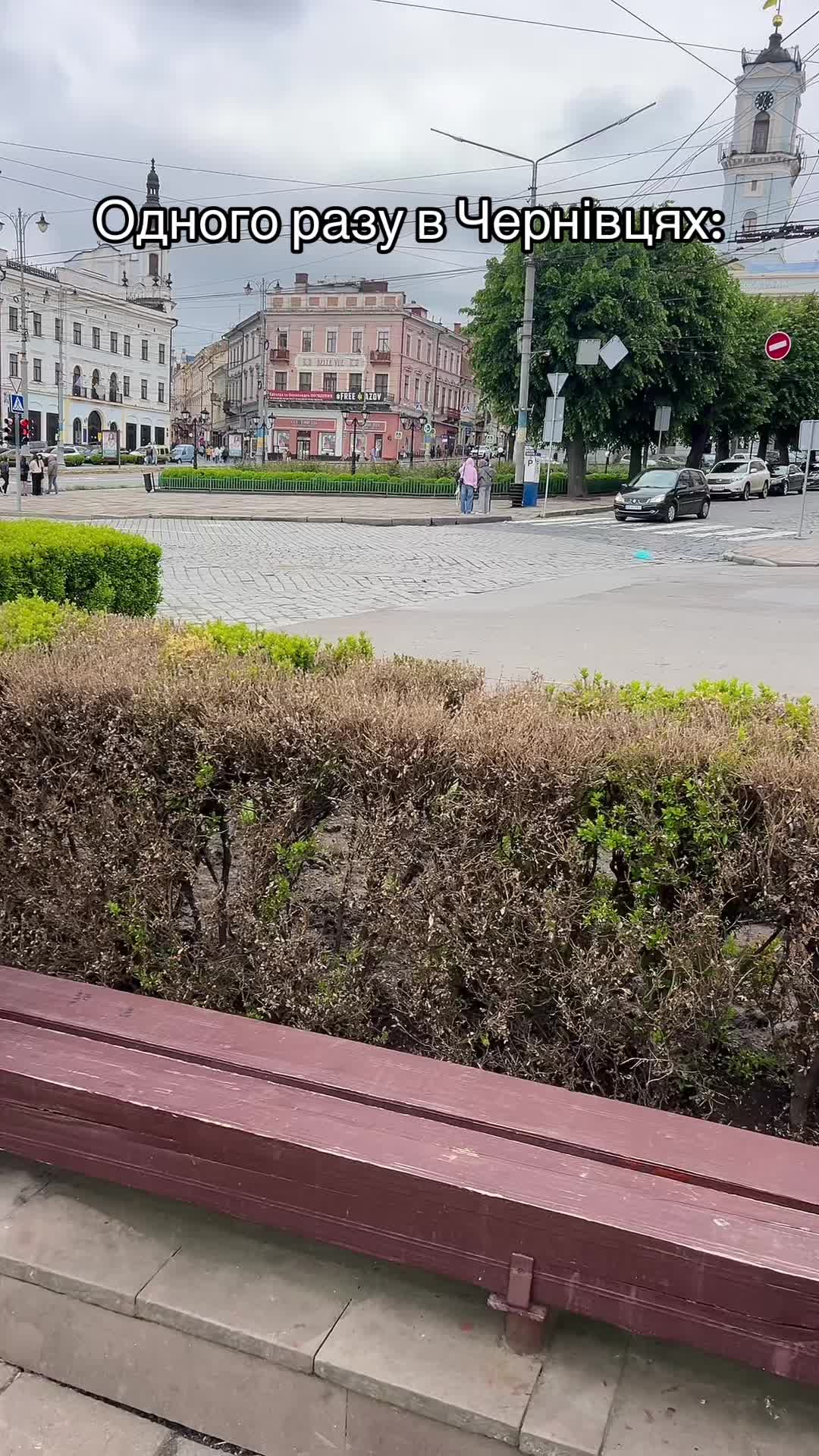 @netaolia