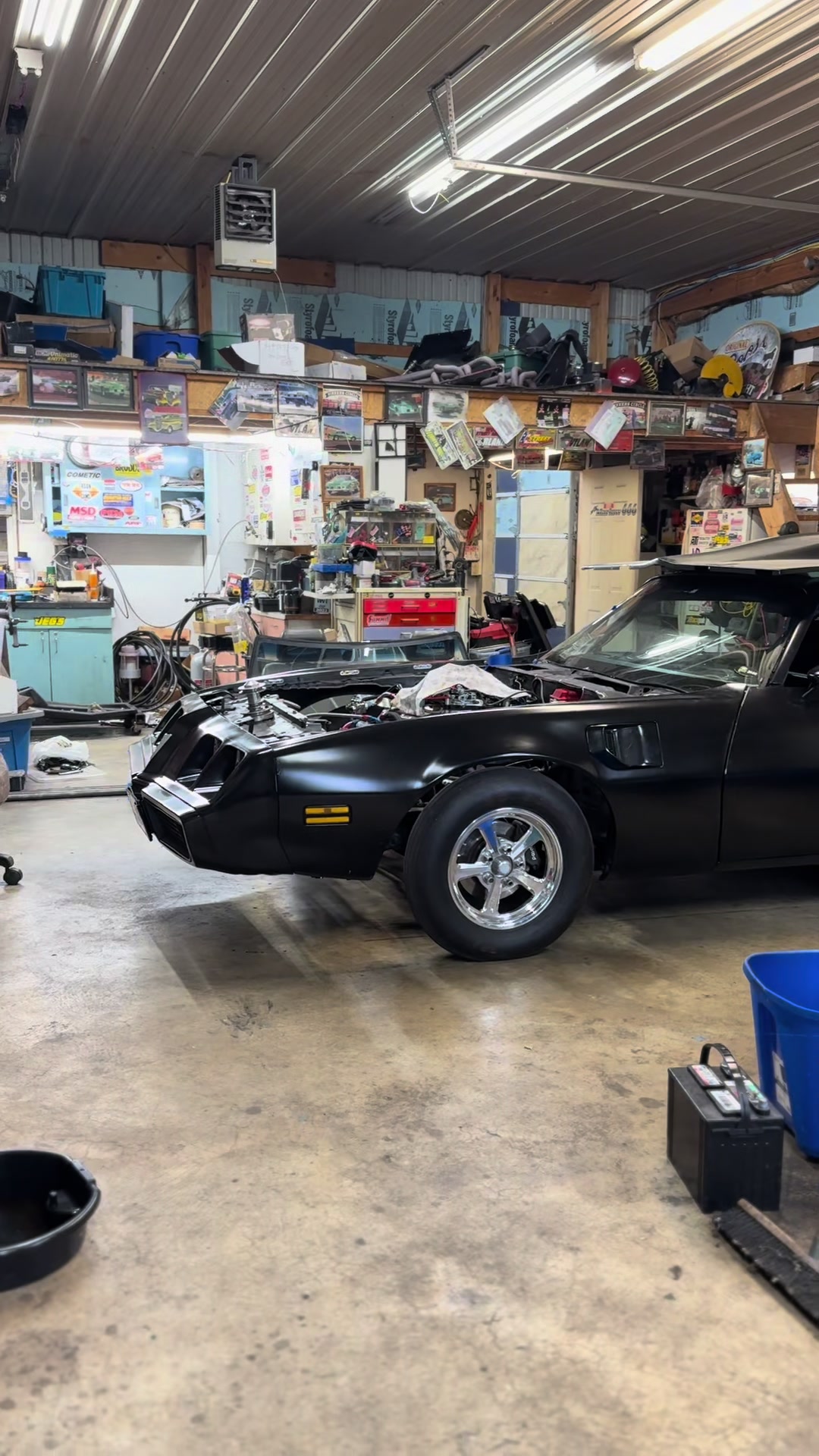 @That one firebird
