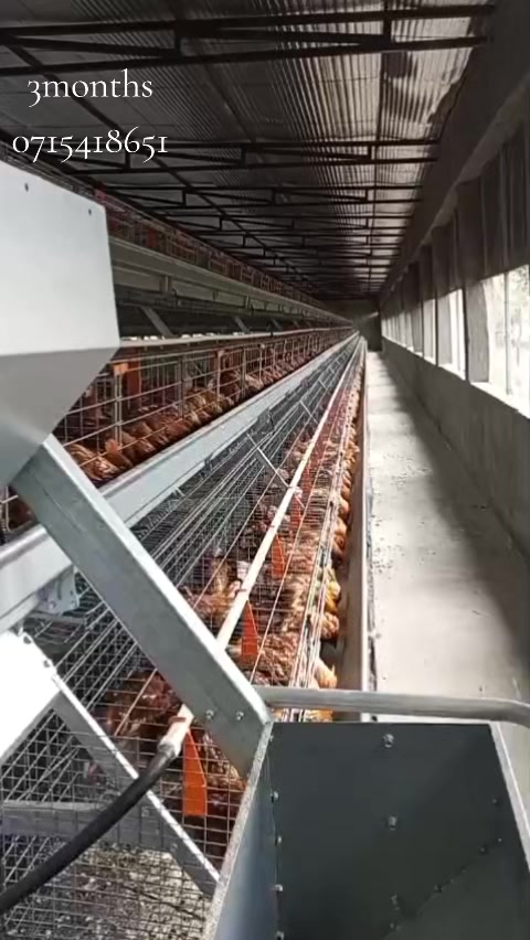 @stepfarm