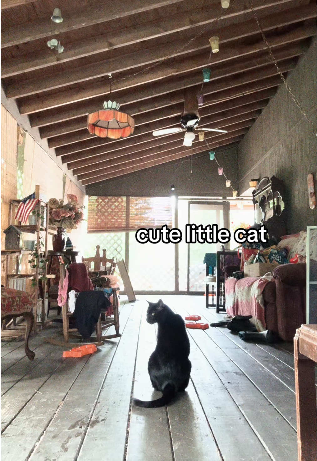 @🌑 Max 🌑