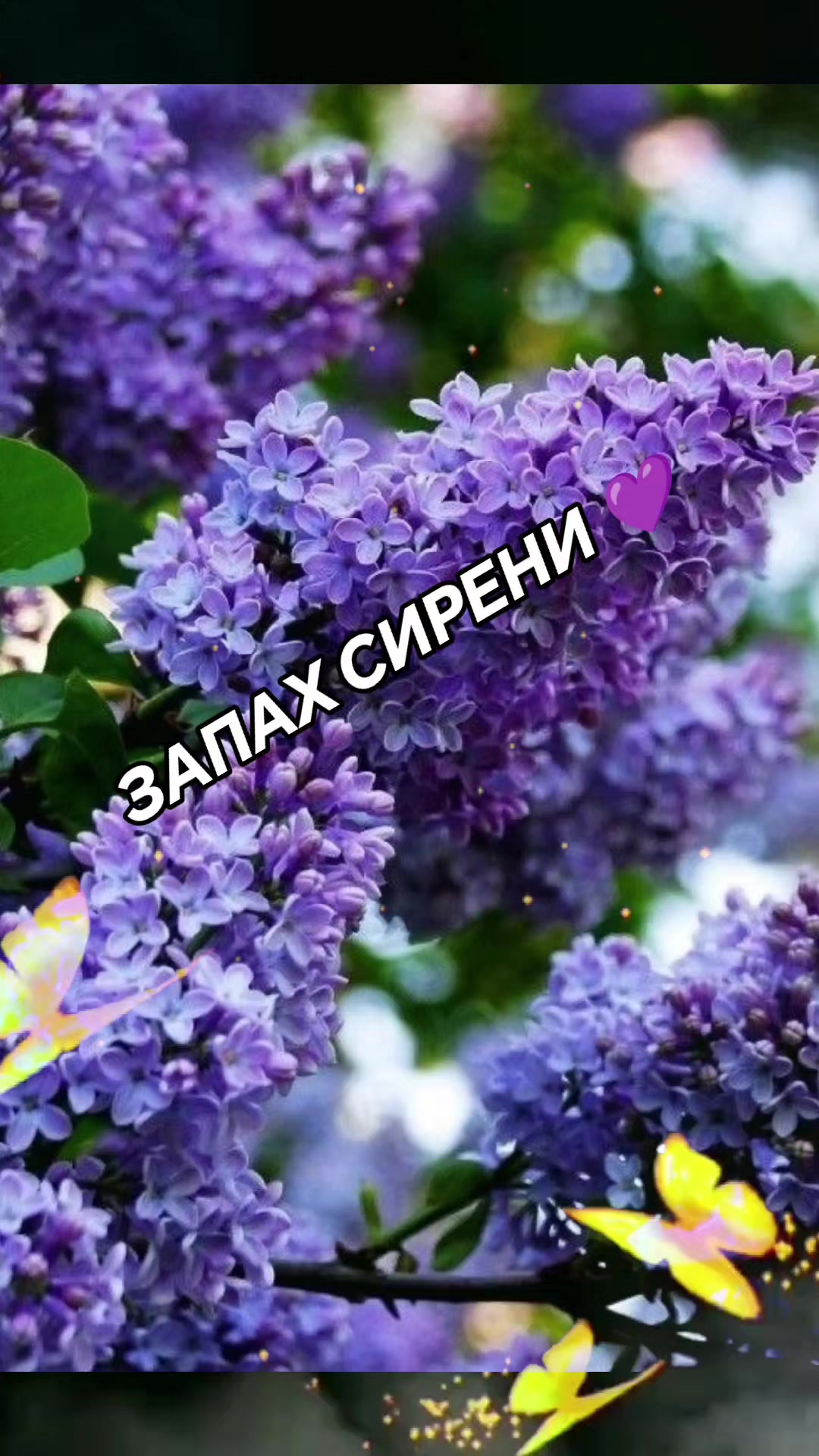 @♥️МАЛЕНЬКАЯ ♥️