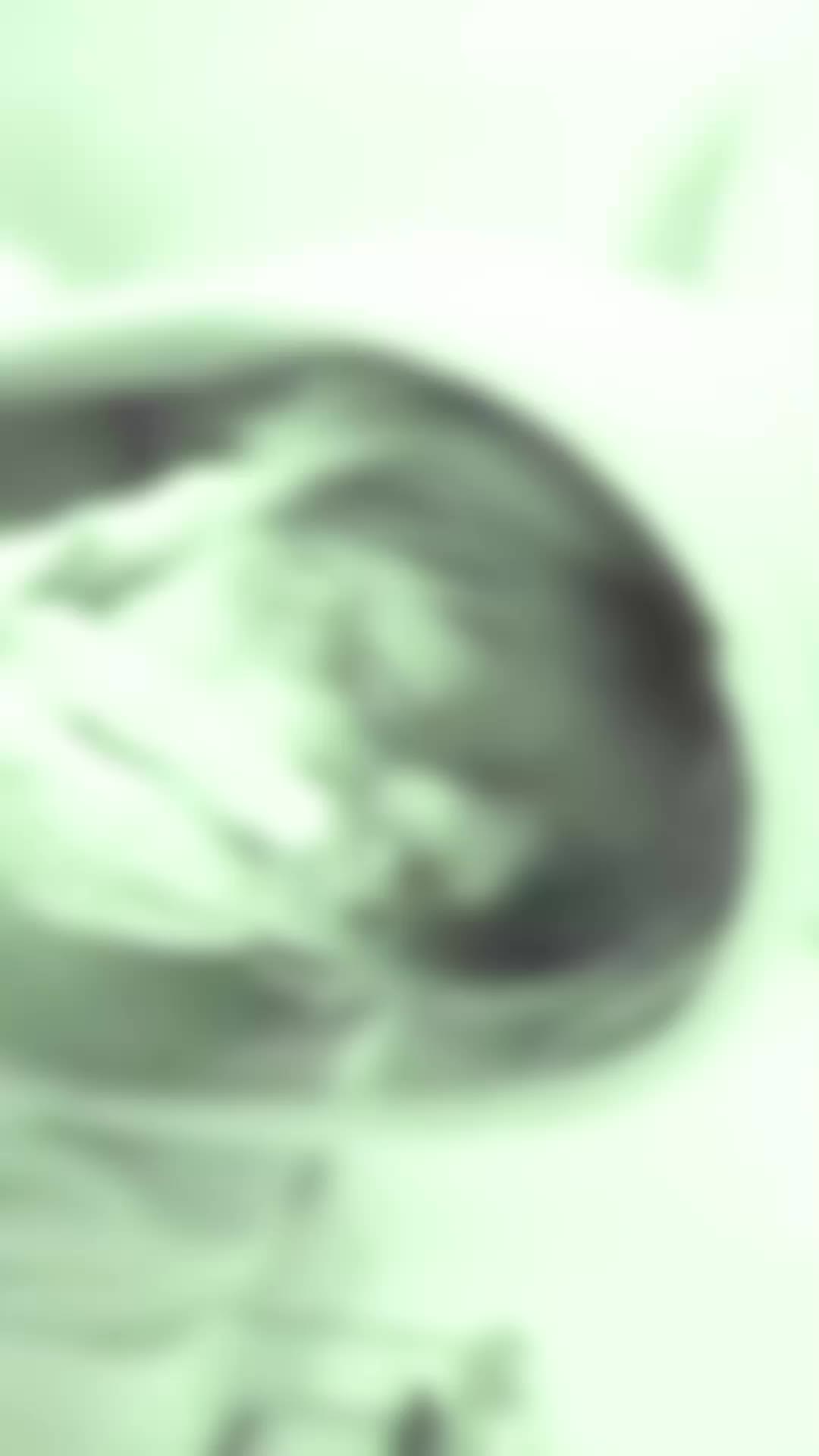 @𝕬𝖑𝖆𝖘𝕽𝖔𝖙𝖆𝖘