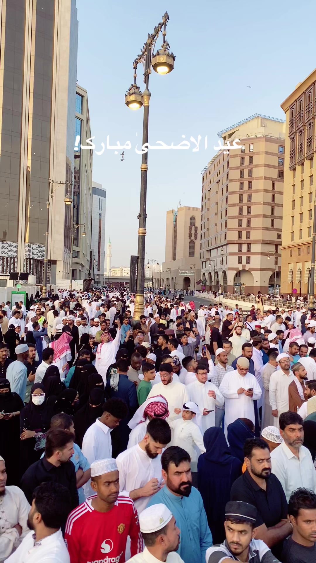@📍Madinah  المدينة المنورة
