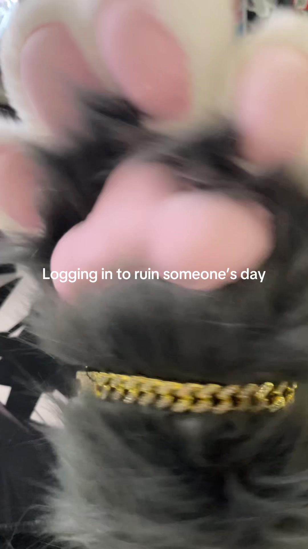 @kyro_fur