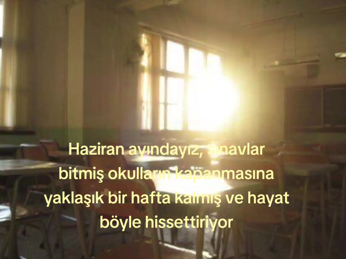 @🪽
