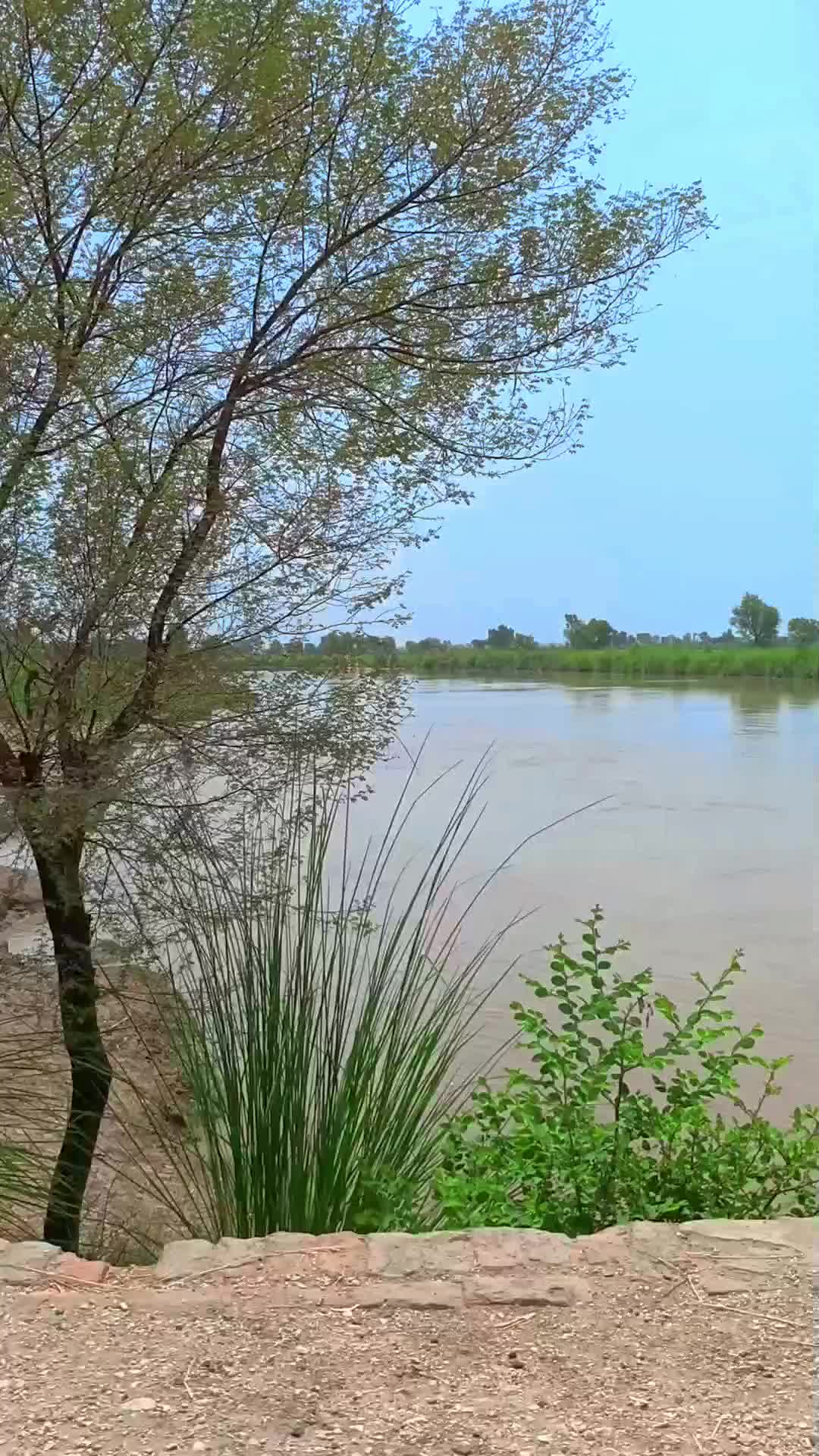 @BÃSHÎR²⁵