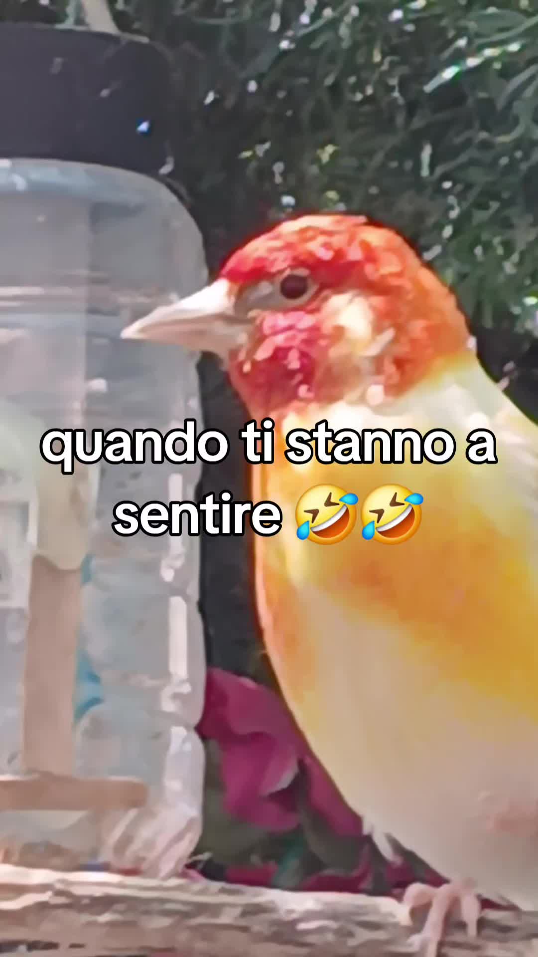@Leonardo Dellacorte