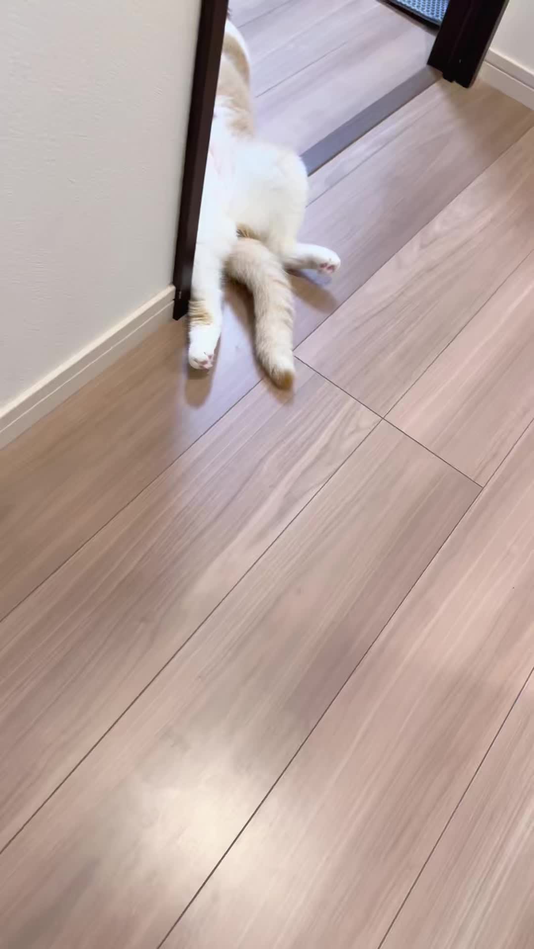 @マロン