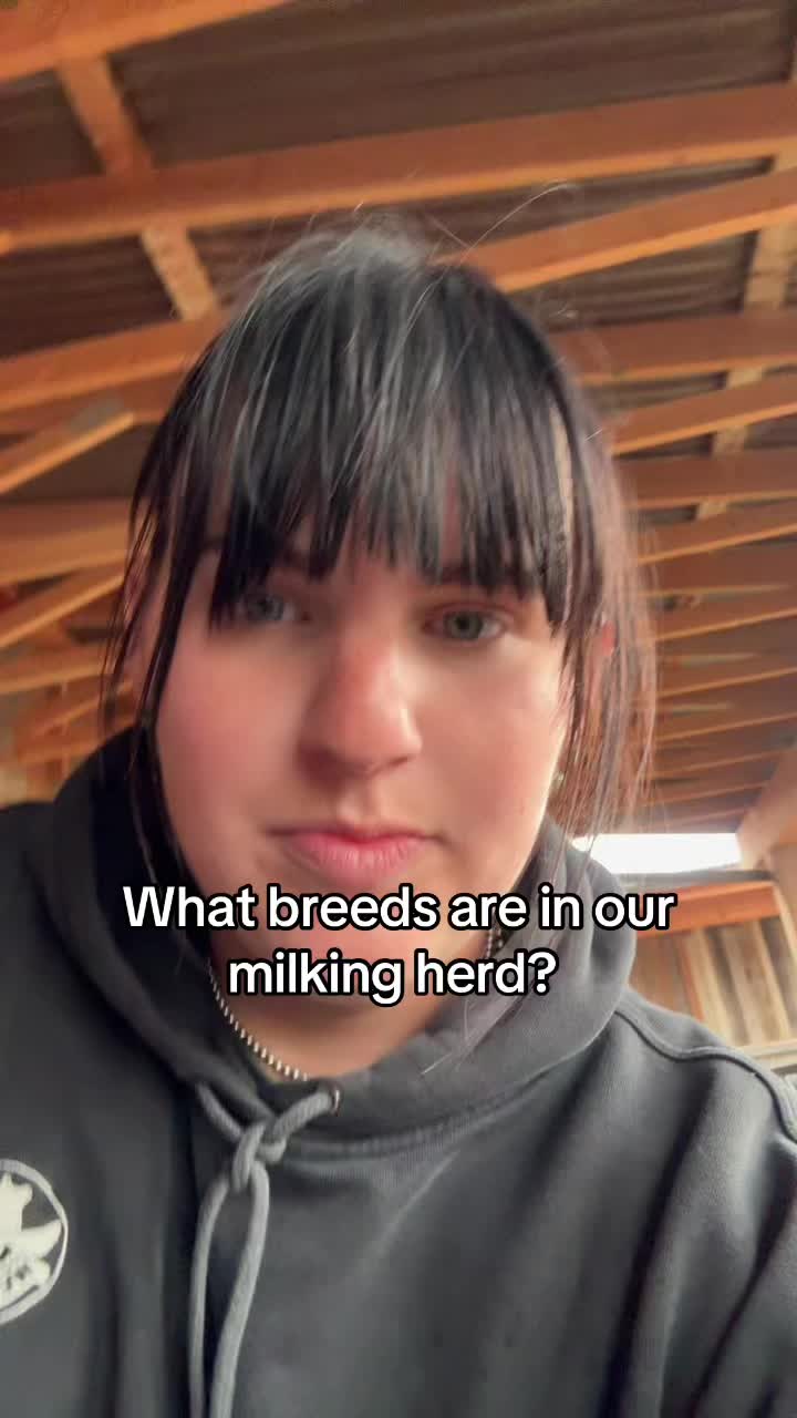 @maranda