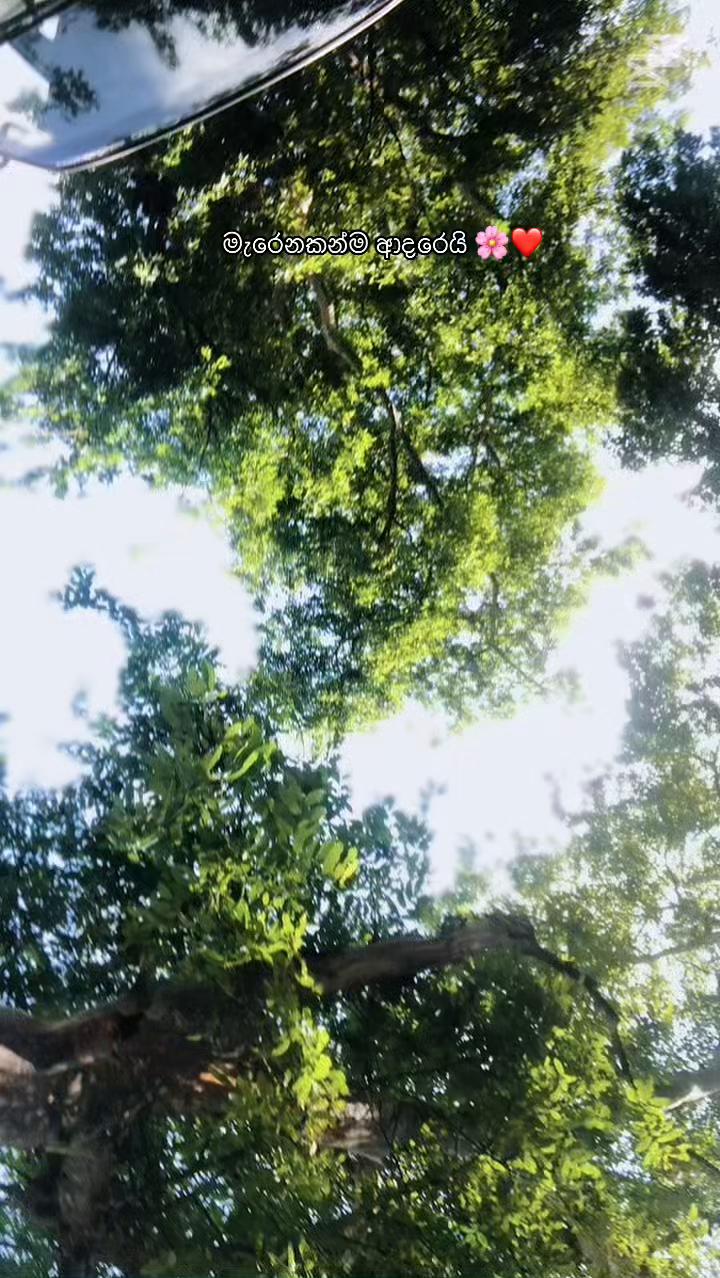 @Kavishika__🍃🎀🐣