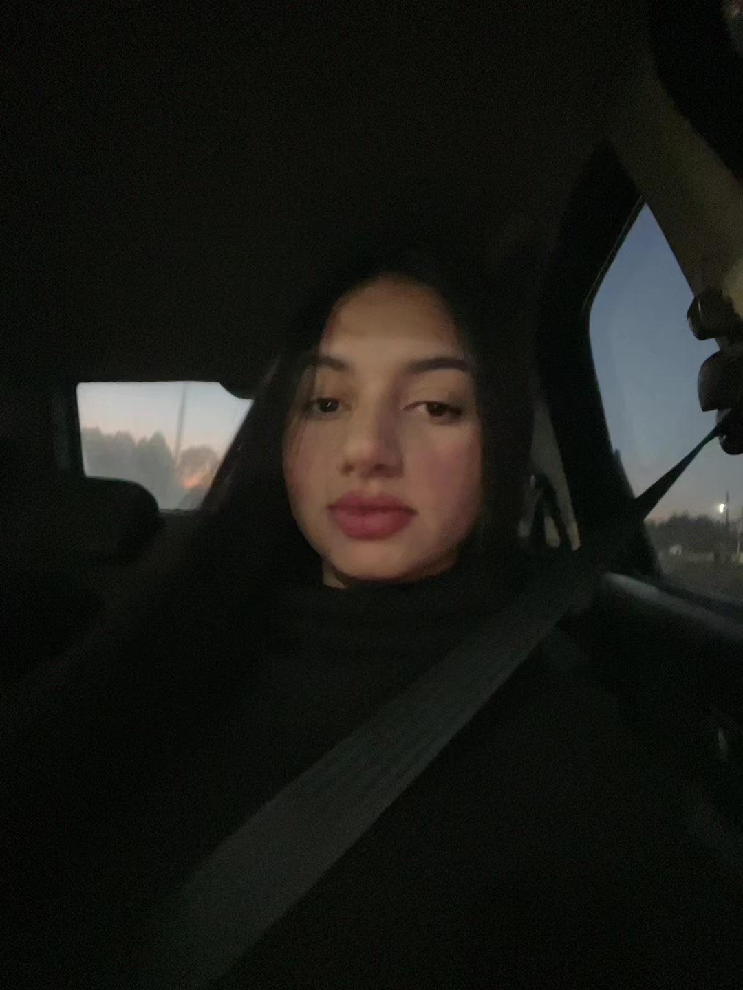 @🐆