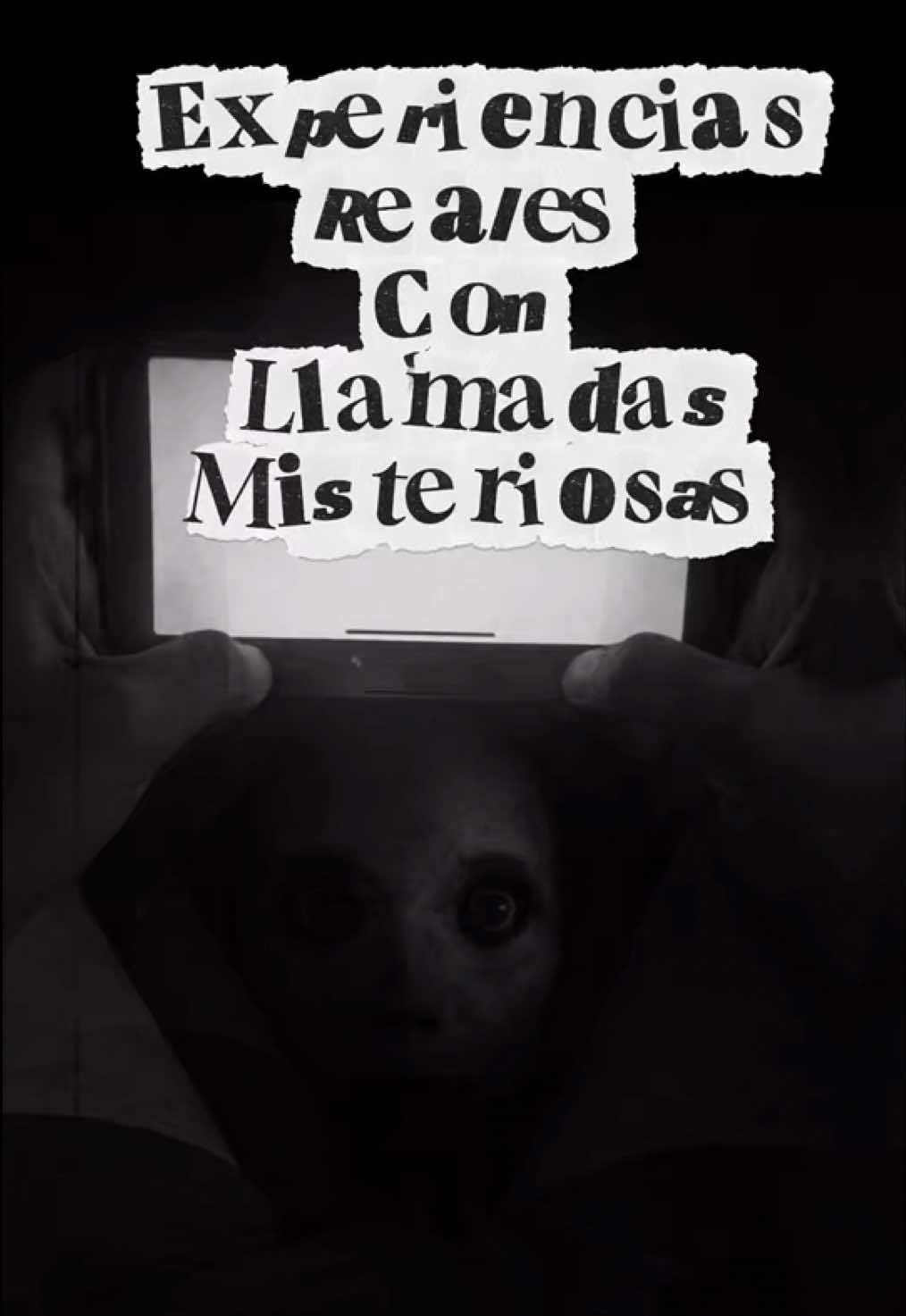 @El Club de la Medianoche