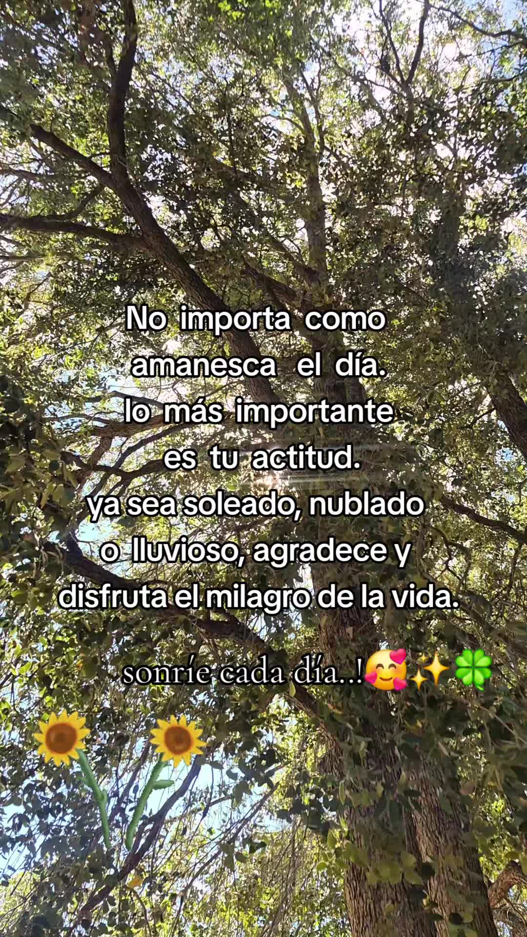 @dorismar