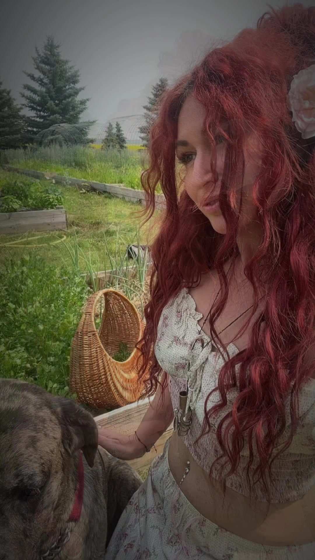 @RedHairedGypsy