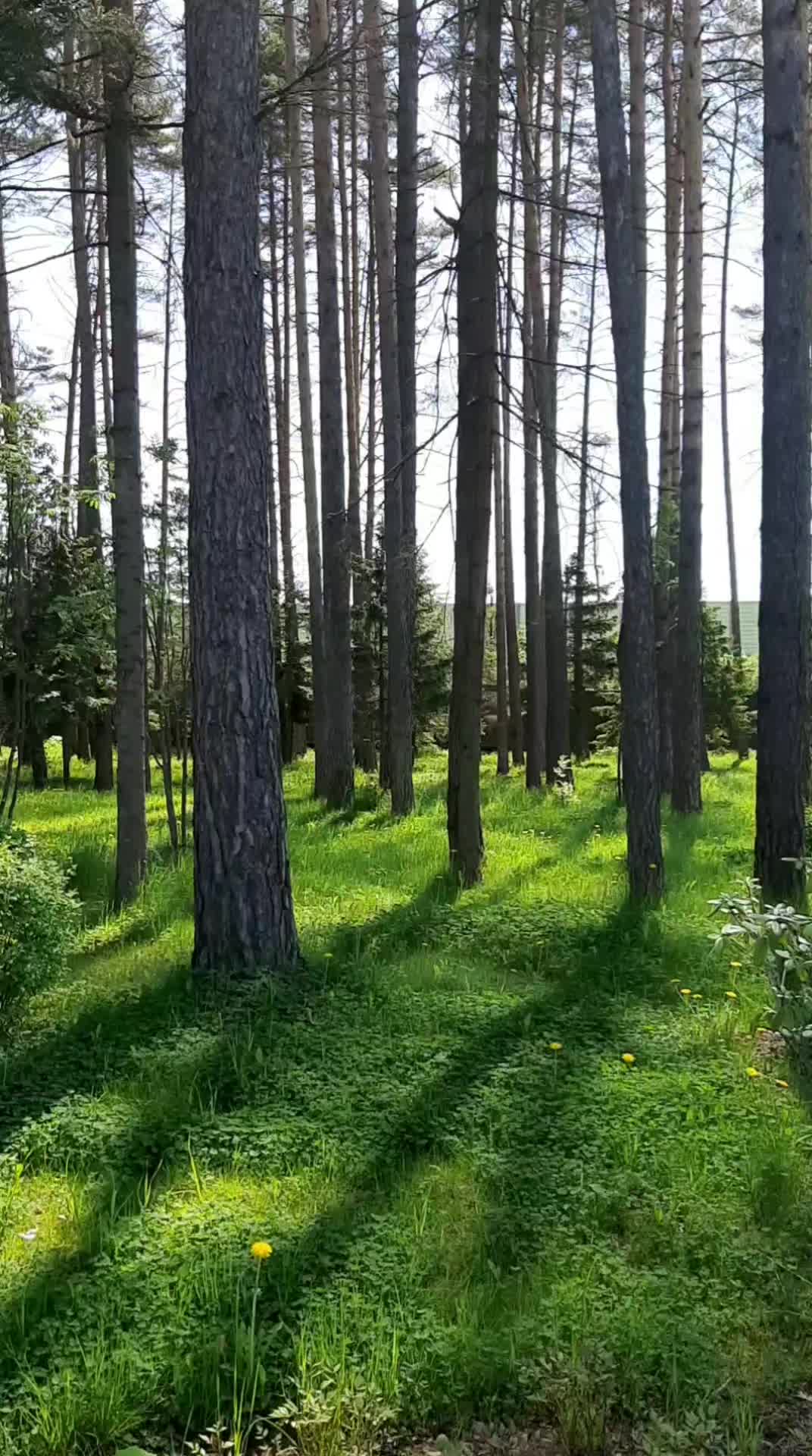 @Роза Долгова