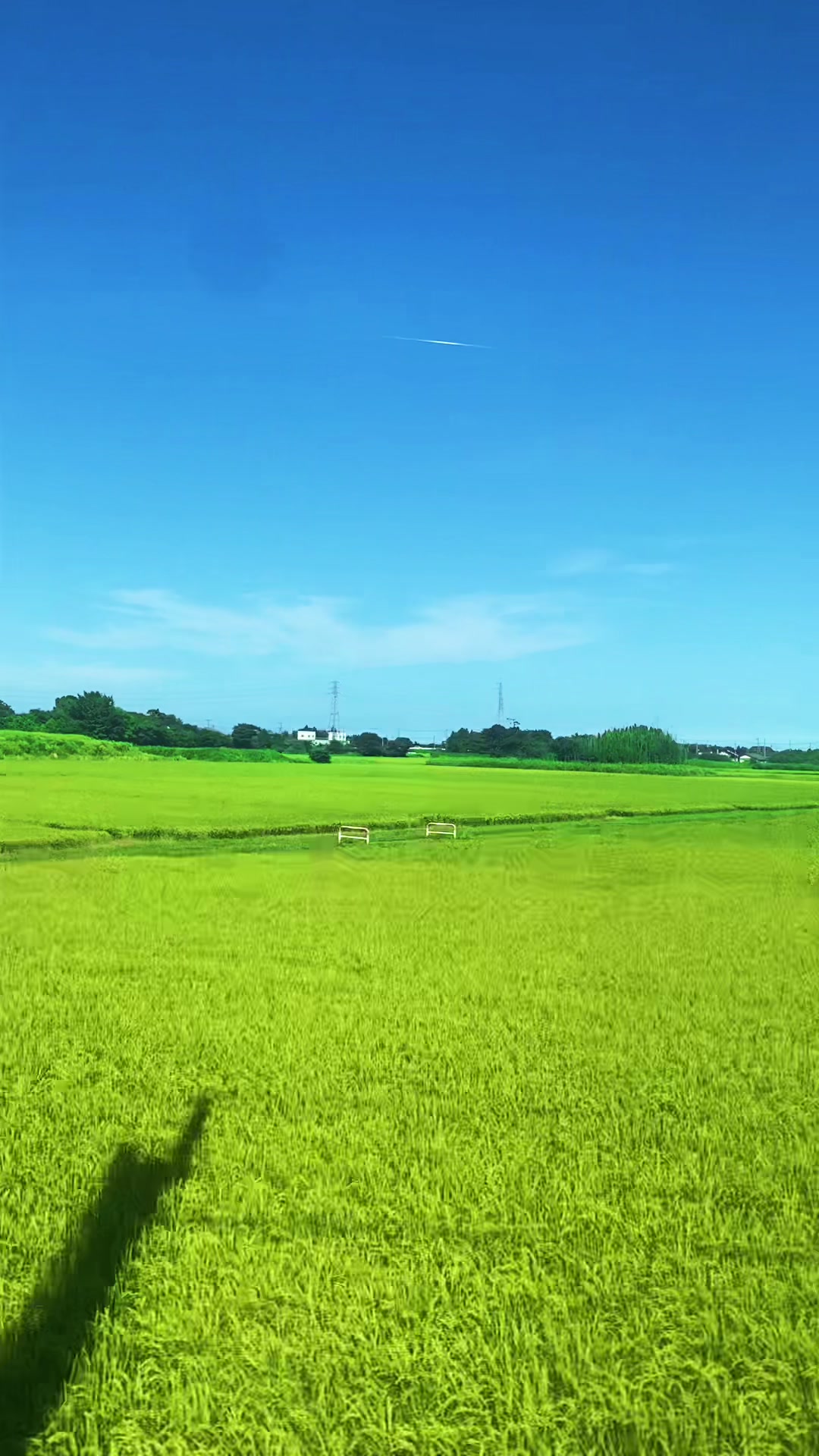 @ひめあ