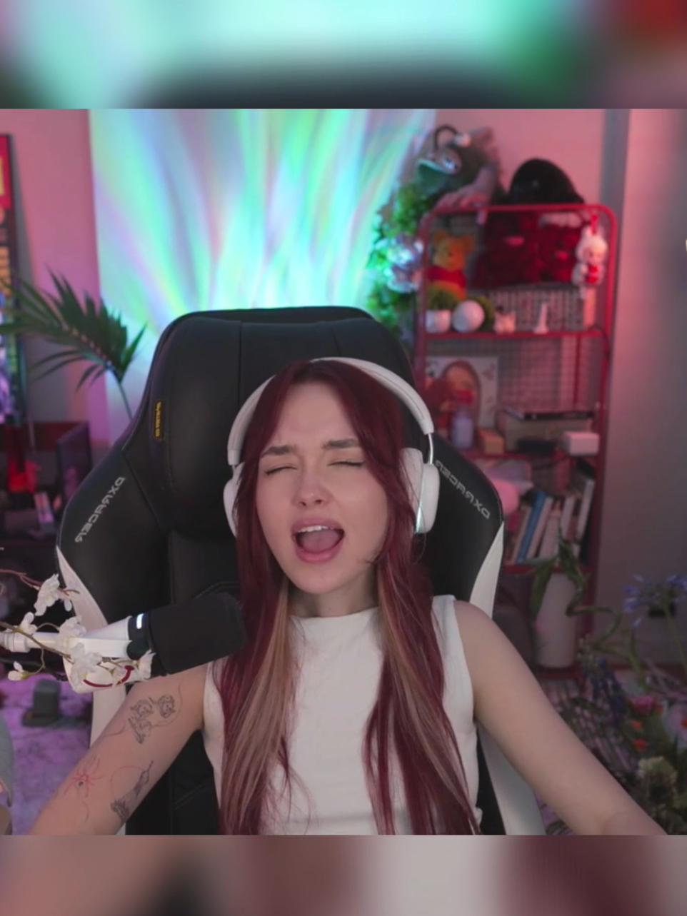 @twitchihh