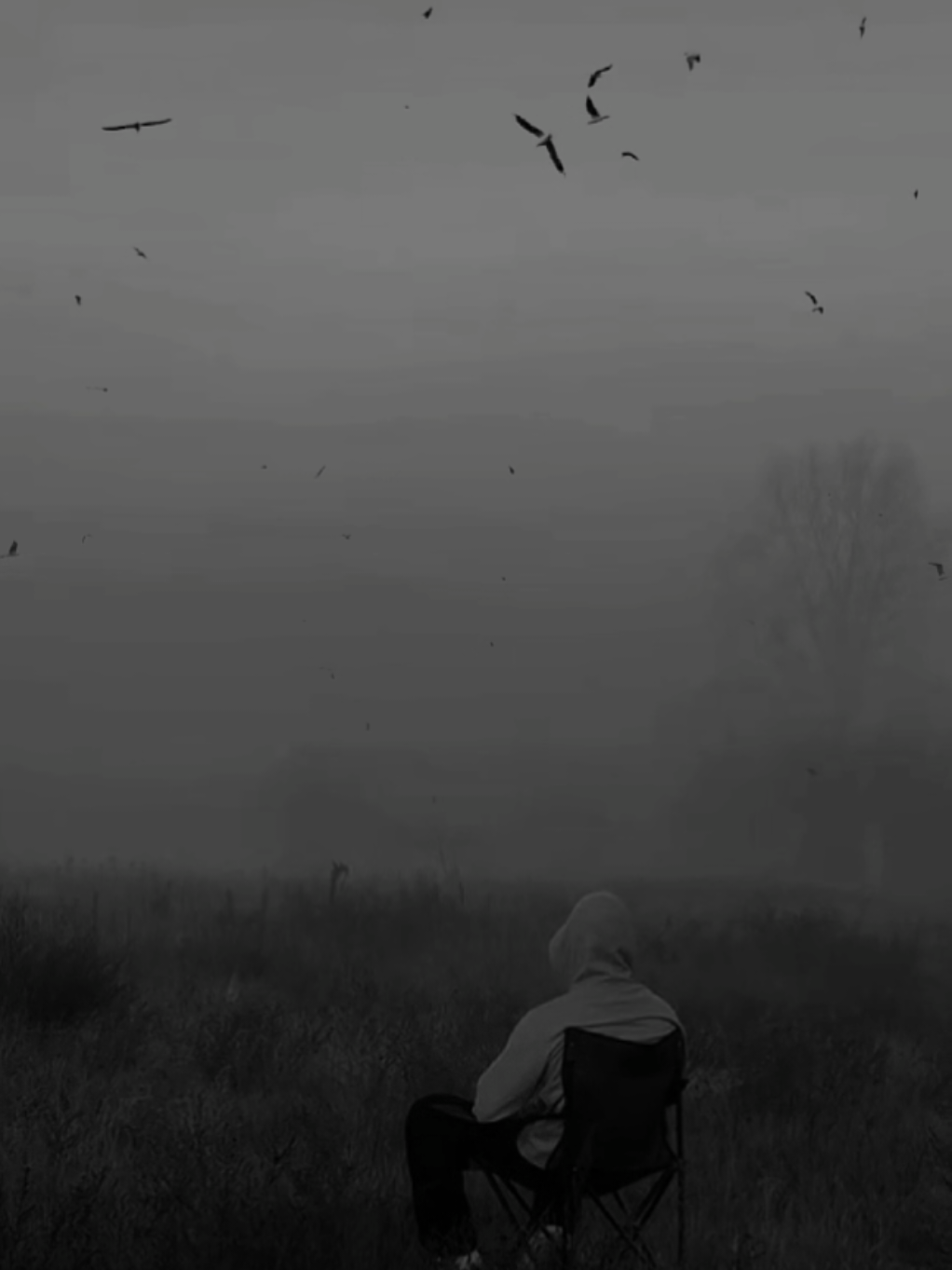 @𝐓𝐀𝐊𝐒𝐇 𝐐𝐀𝐑𝐀𝐒𝐇