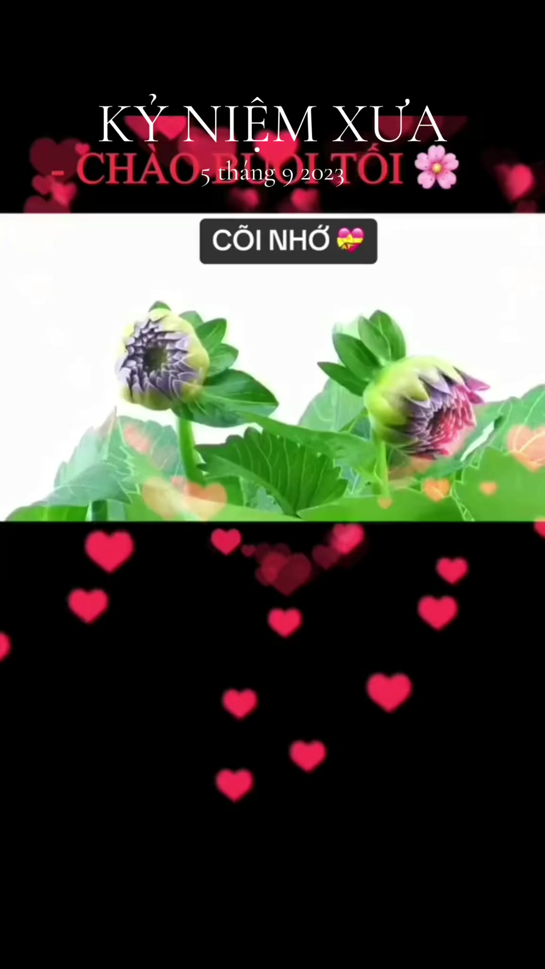 @TRƯƠNG PHÁP