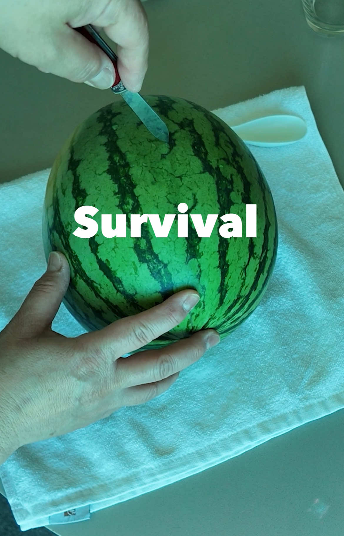 @Vegan Hacks Pod