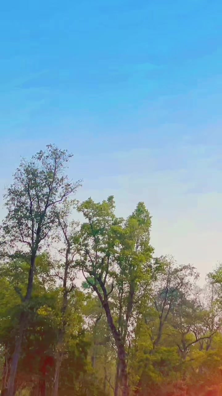 @¢hüBbygîrl🧏🏿♀️