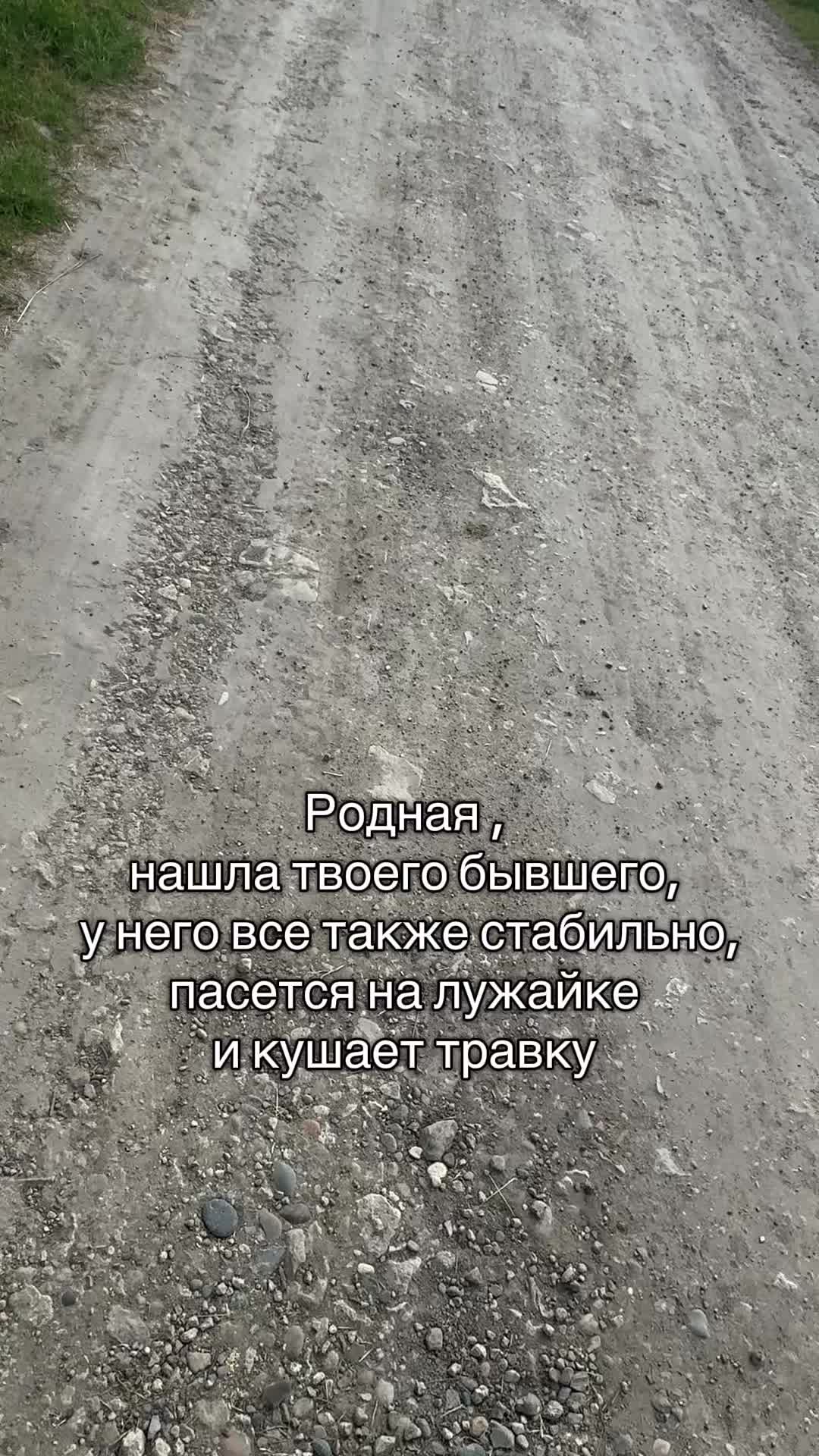 @_gusarova_