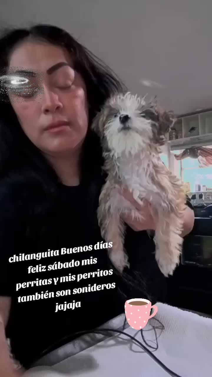 @Lachilangaa 🙏❤️🇲🇽