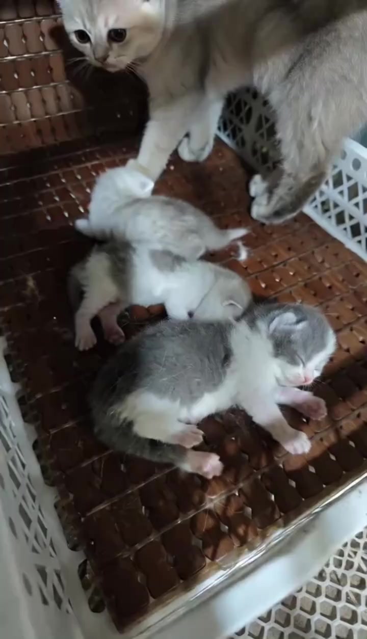 @Beto Jim&eacute;nez_5