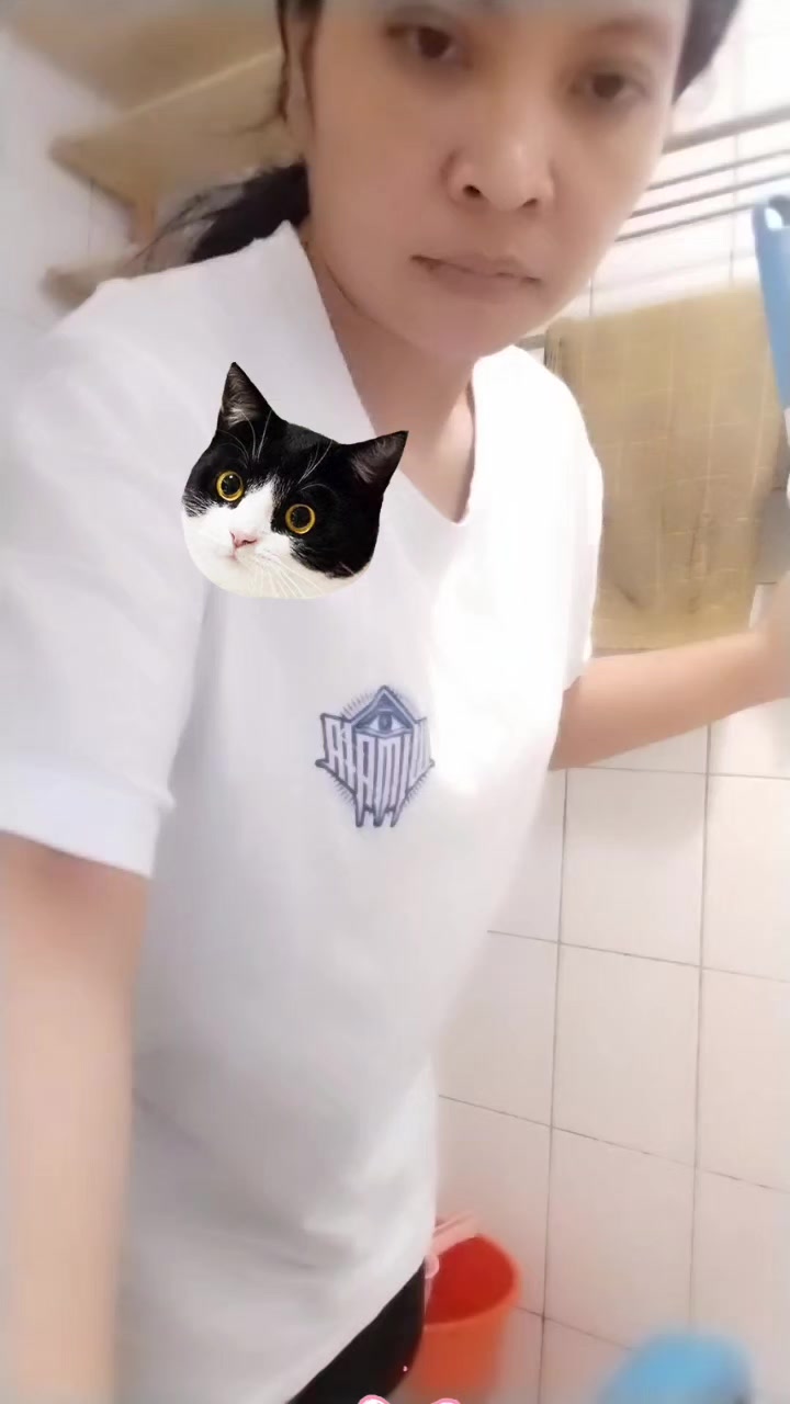 @emboh🐱