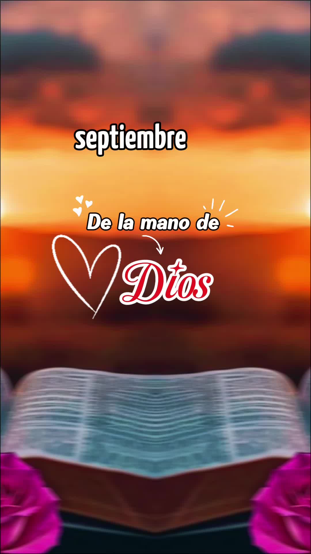 @Zury Lucas