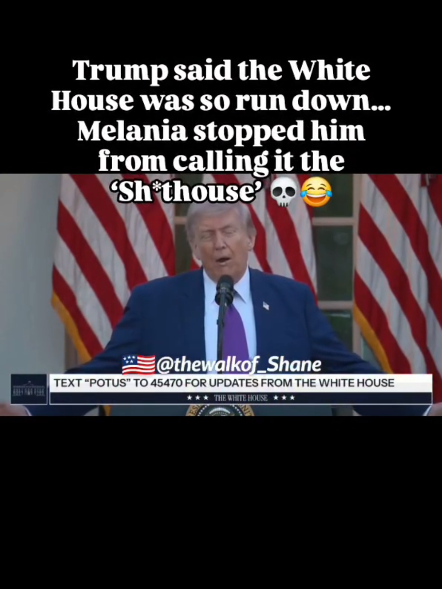 @thewalkof_Shane