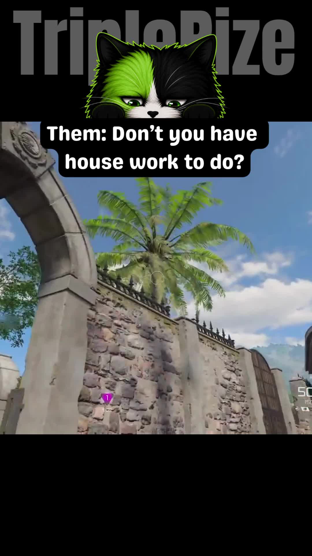 @TripleRize