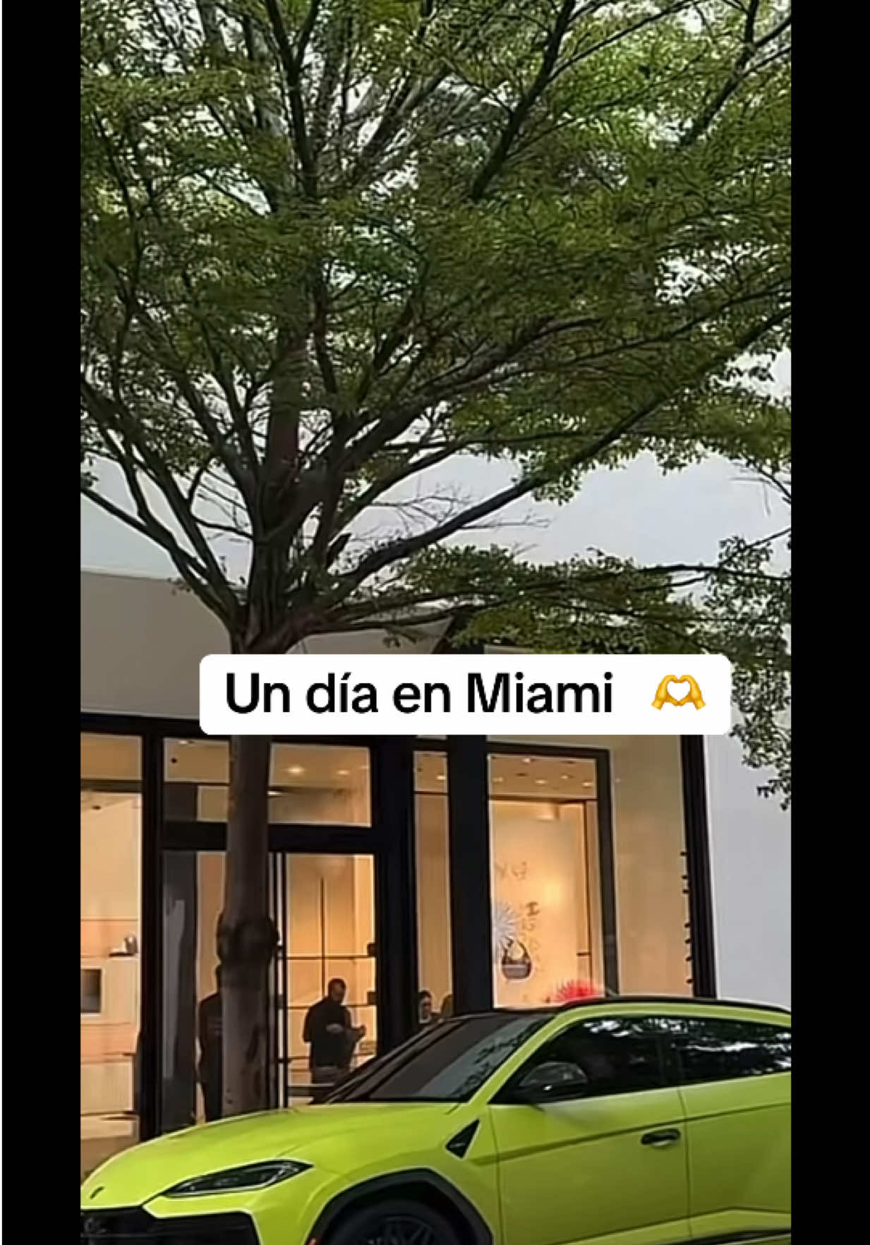 @MAYELIN MATTIG REALTOR® MIAMI
