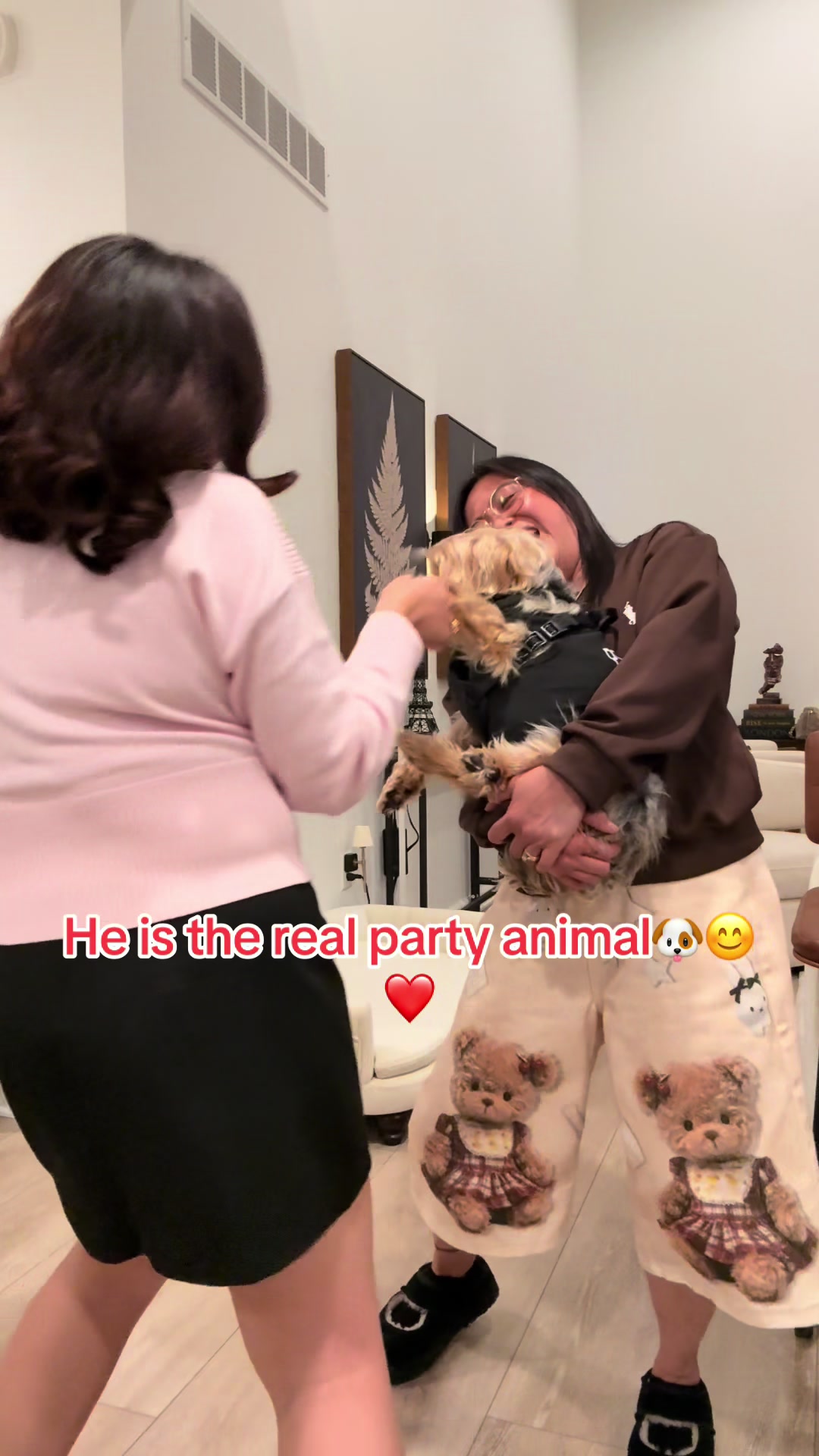 @masonyorkieandmom18