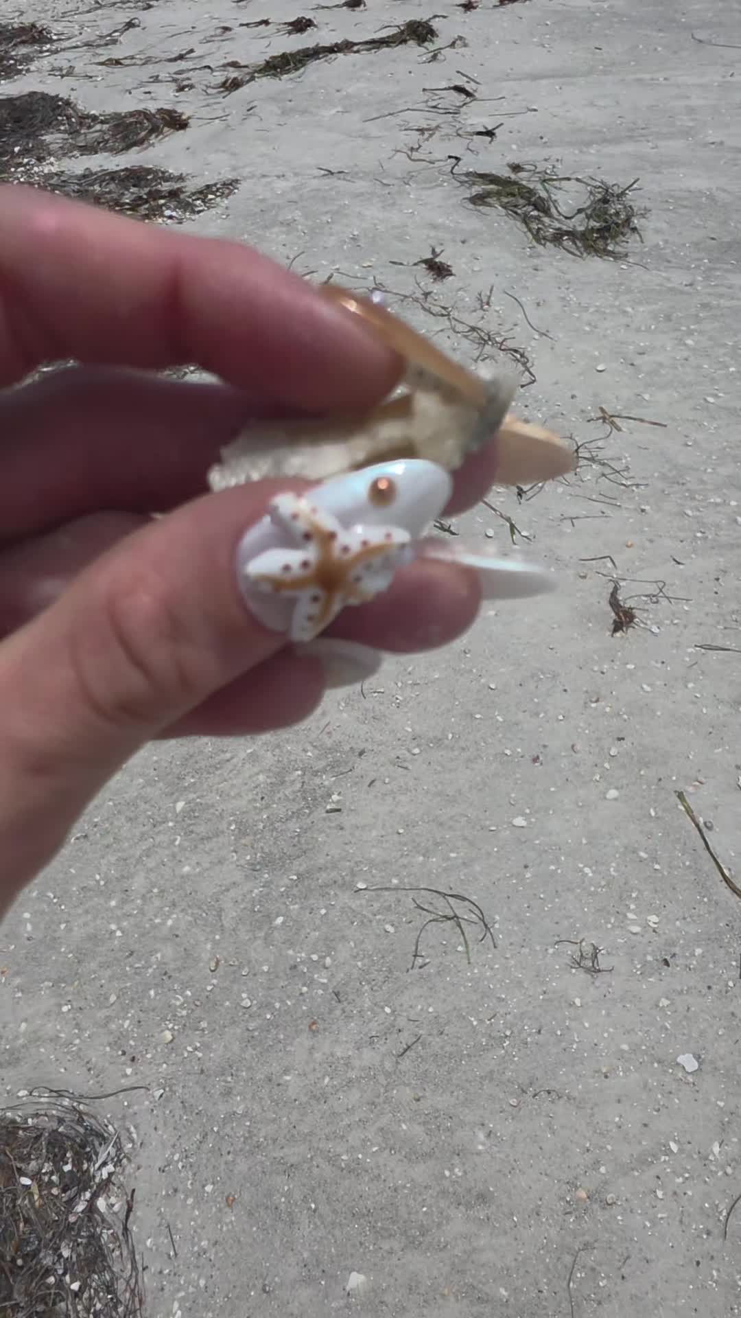 @seaweedslinger
