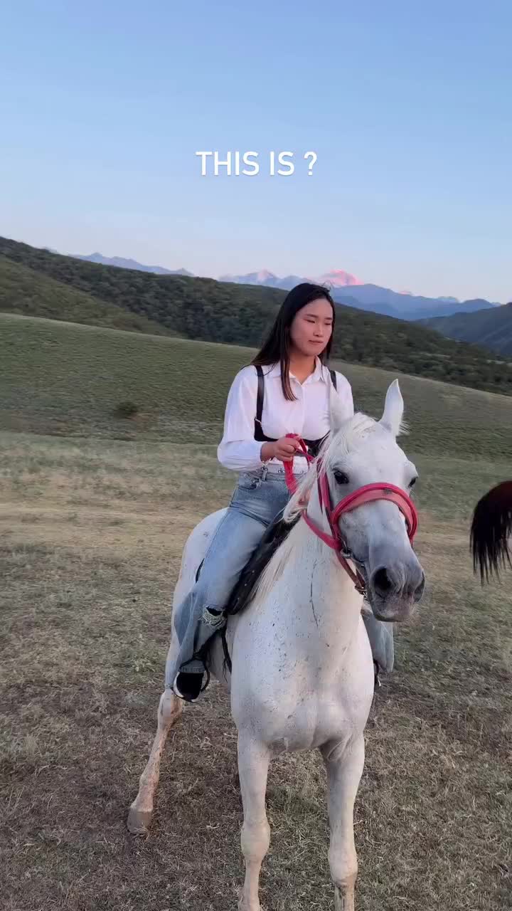 @ThunderGallops