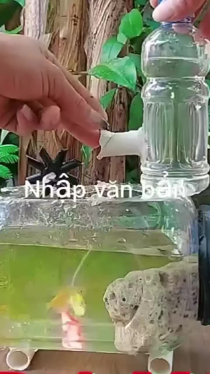 @Professor