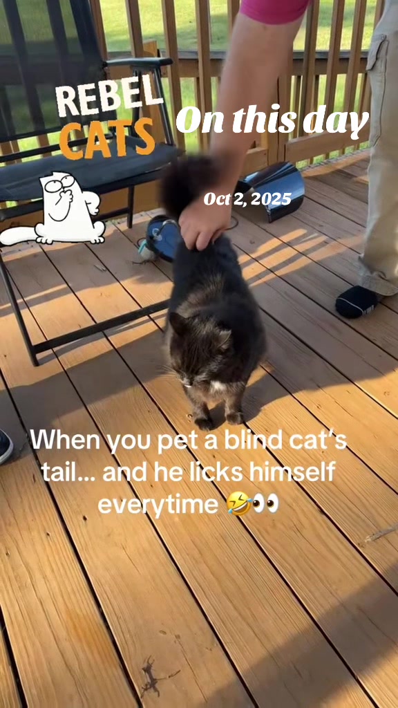 @LegLessKat 🧡❌