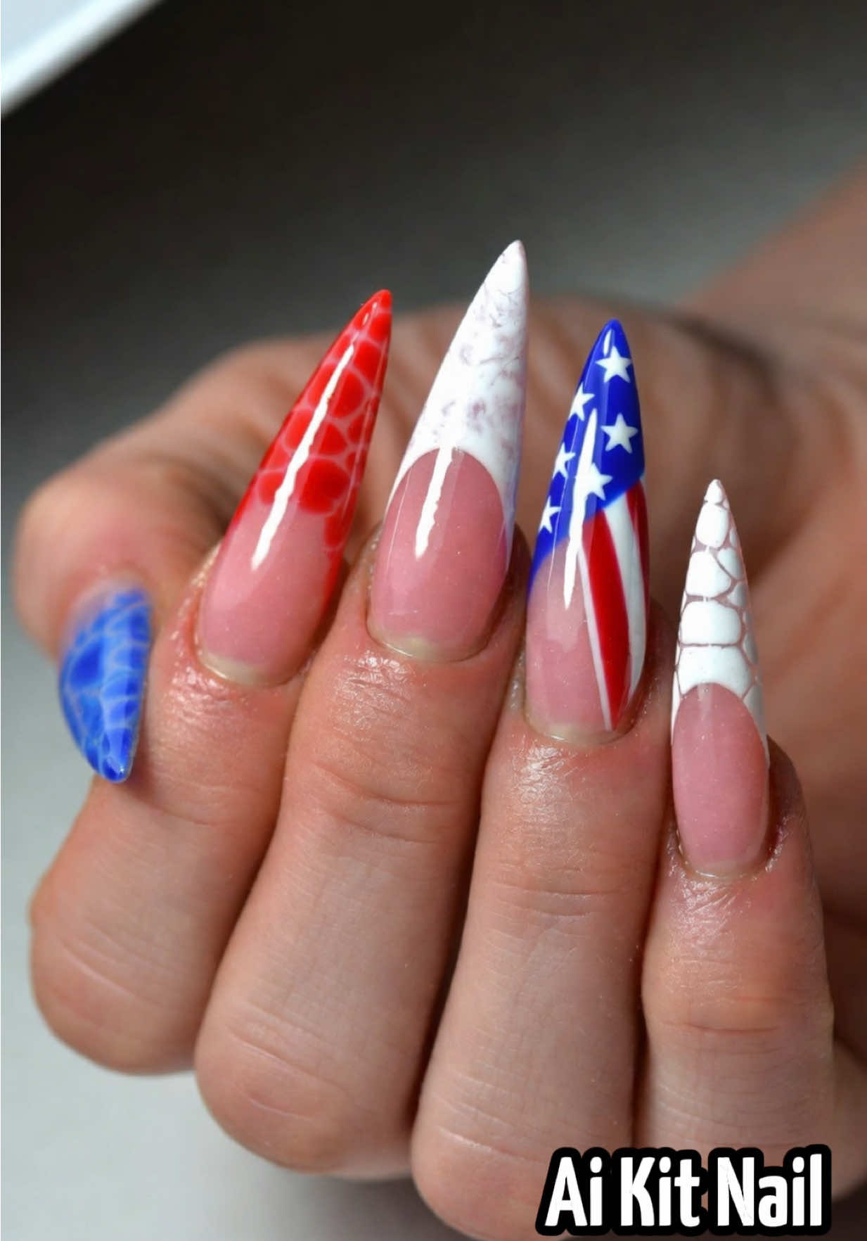 @an.aikitnail2025