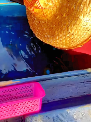 @𝐍𝐨𝐫𝐭𝐡 𝐒𝐞𝐚