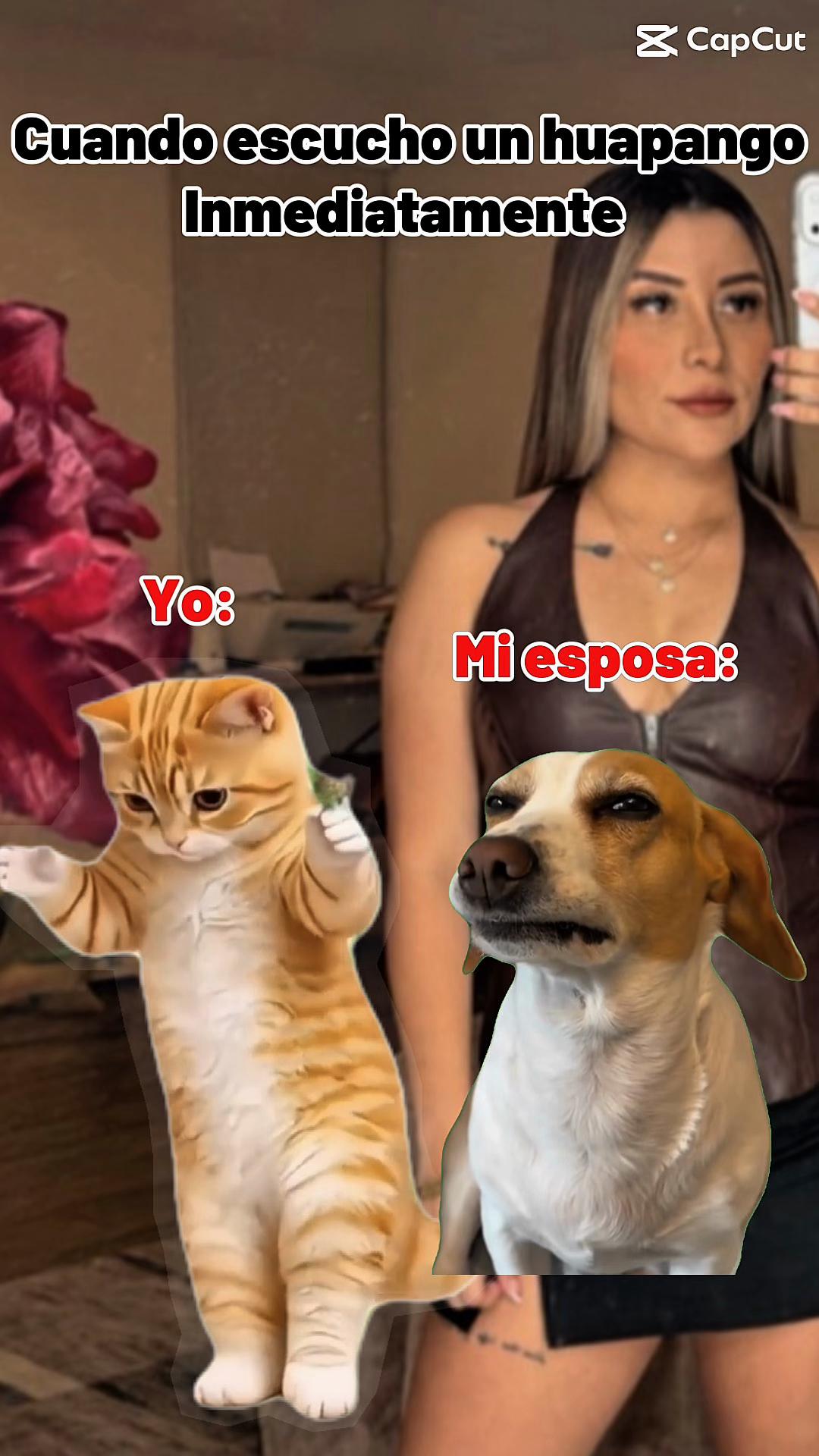 @Iris Arenas